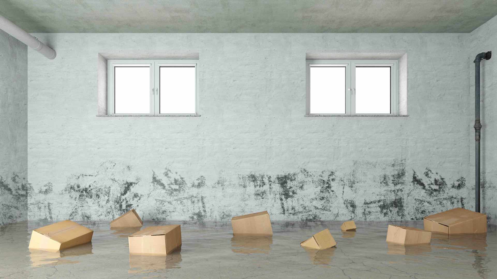 What Causes a Basement to Leak or Flood?